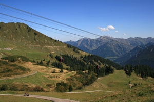 fellhorn